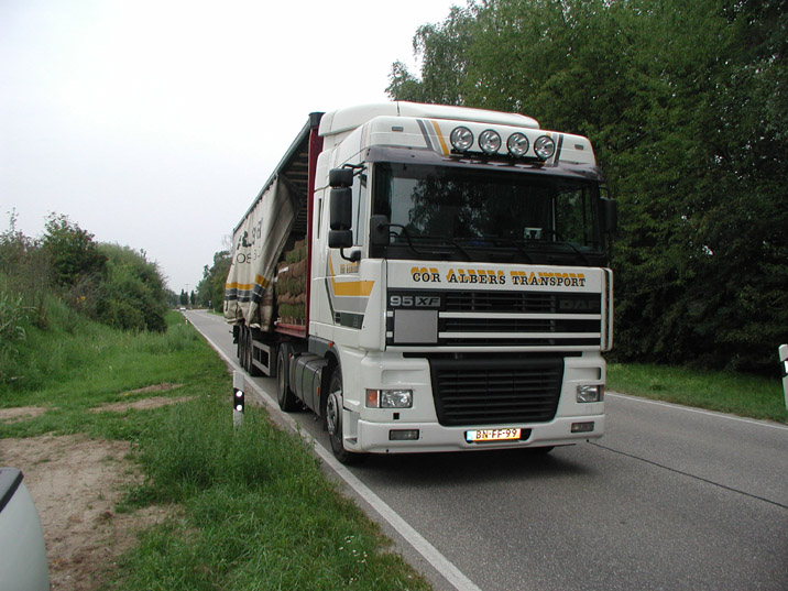 Rollrasen